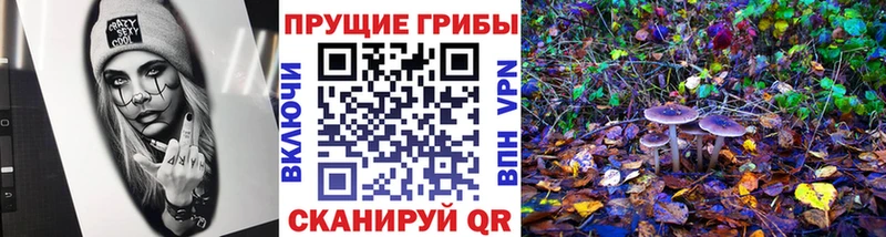 Галлюциногенные грибы GOLDEN TEACHER  blacksprut ONION  Демидов 